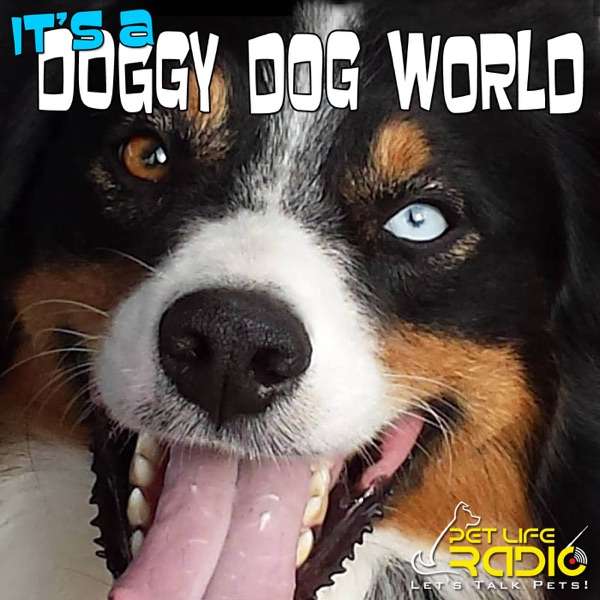 It’s A Doggy Dog World – Dog Podcast about dogs as pets & caring for your pet dog, – Pets & Animals on Pet Life Radio (PetLifeRadio.com)