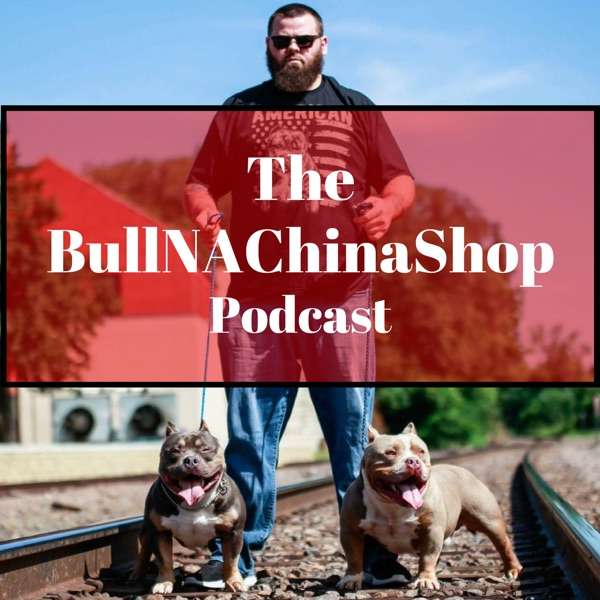 The BullNAChinaShop Podcast