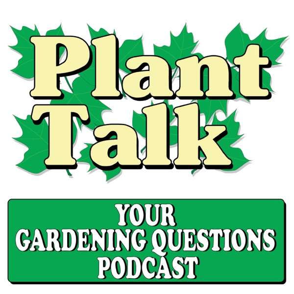 Your Gardening Questions