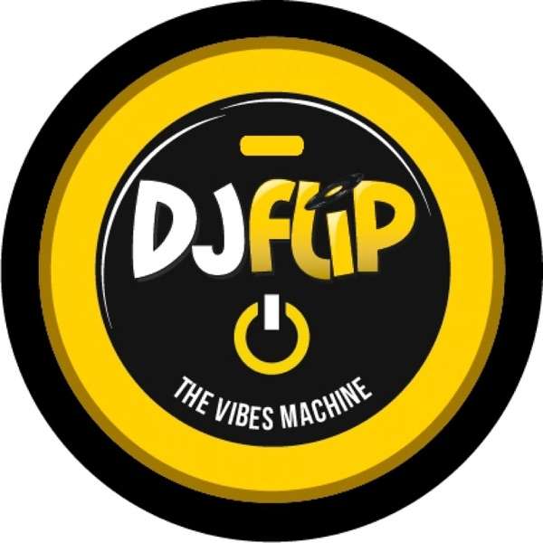 DJ FLiP – THE VIBES MACHINE