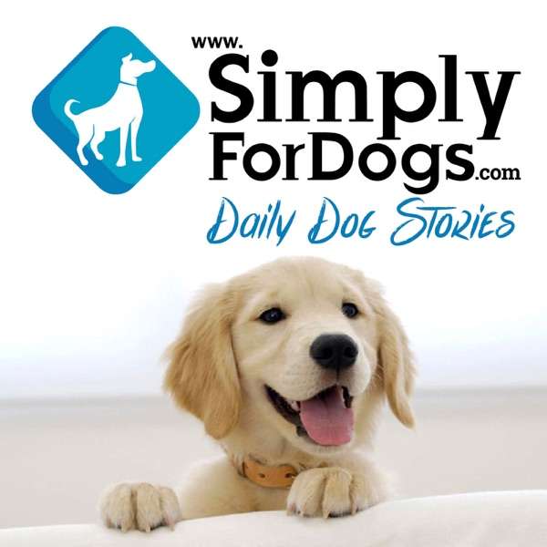 Simply For Dogs|Franklin Medina discusses the latest dog tips,  dog strategies, dog training,  and everything related to dogs