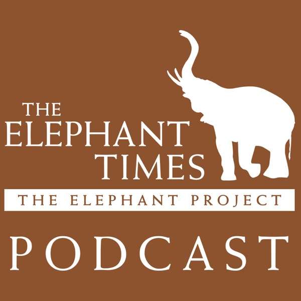 The Elephant Times