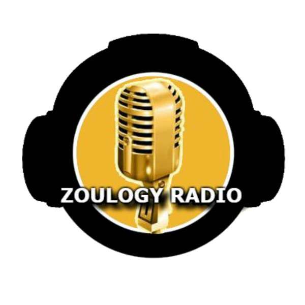 Zoulogy: A Mizzou Tigers Podcast