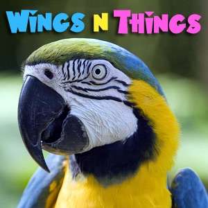 WingsNThings – Birds & Parrots as Pets – All About Pet Birds – Pets & Animals on Pet Life Radio (PetLifeRadio.com)