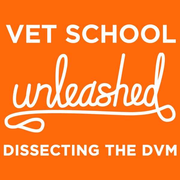 Vet School Unleashed: Dissecting the DVM – Talking About All Things Veterinary School