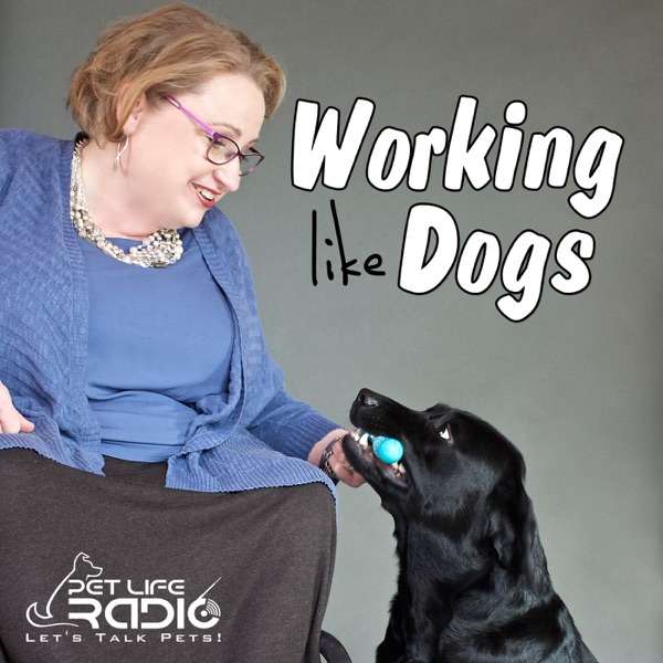Working Like Dogs – Service Dogs and Working Dogs  – Pets & Animals on Pet Life Radio (PetLifeRadio.com)