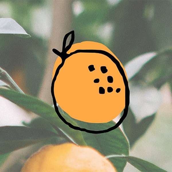 sunshine + oranges