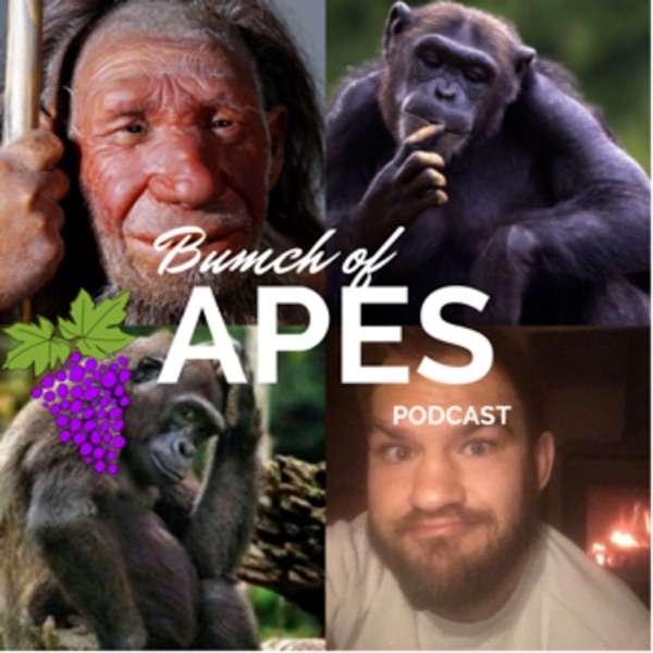 Bunch of Apes Podcast