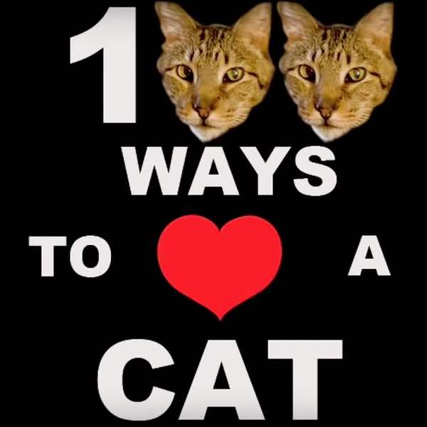 100 Ways to Love A Cat