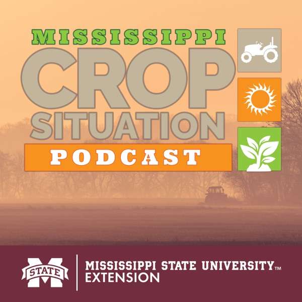 Mississippi Crop Situation Podcast