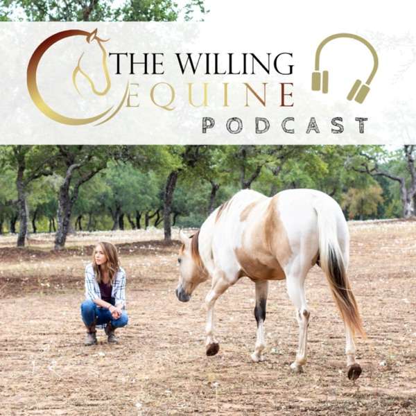 The Willing Equine