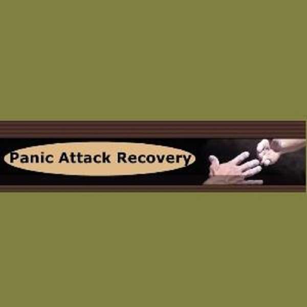 Anxiety, Stress and ADHD Recovery including Mental Health Support – Panic Attack Recovery