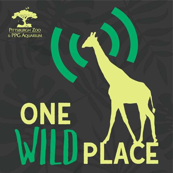 One Wild Podcast