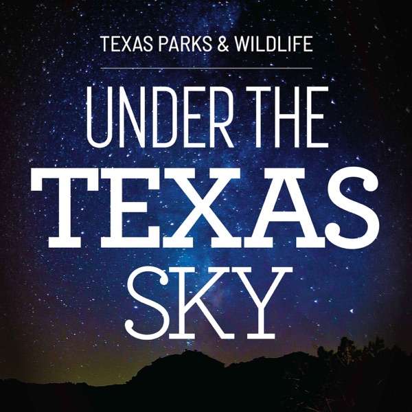 Under the Texas Sky