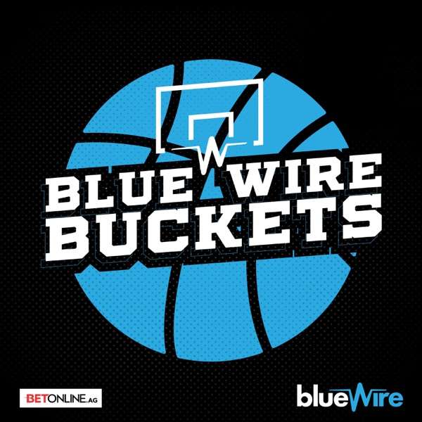 Blue Wire Buckets