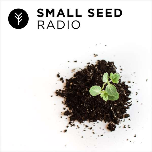 Small Seed Radio