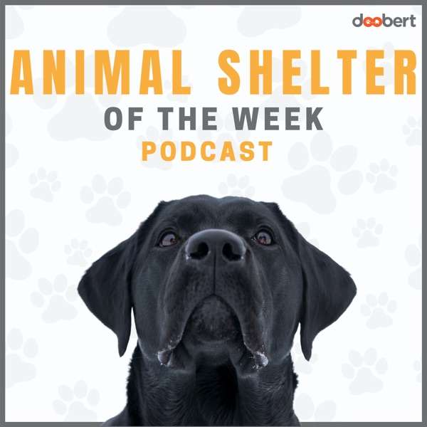 Animal Shelter of the Week