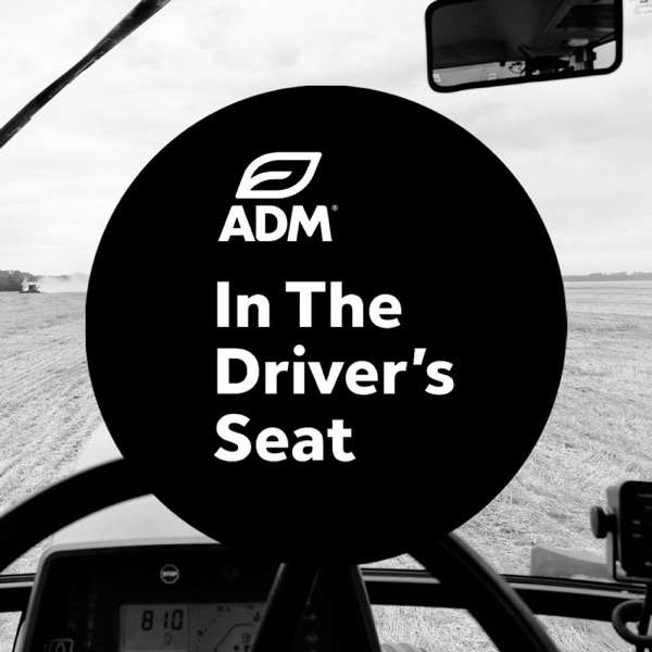 In The Driver’s Seat
