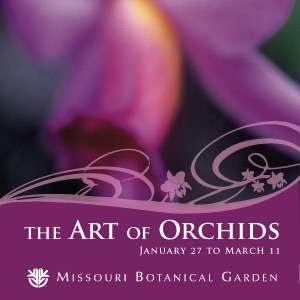 Missouri Botanical Garden Orchid Show 2007