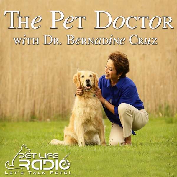 The Pet Doctor – Keeping your pets healthy & pet wellness – Pets & Animals on Pet Life Radio (PetLifeRadio.com)