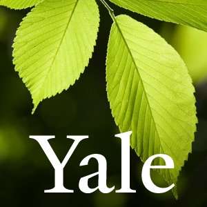 Ecology – Yale School of Forestry