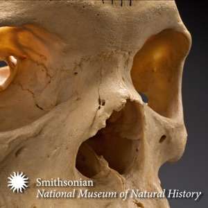 Written in Bone: Forensic Files of the 17th Century Chesapeake – Smithsonian Institution National Museum of Natural History