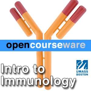 Intro to Immunology (BIOL 378/380) – Prof. Gregory Beck