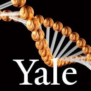 Genetics – Yale School of Medicine