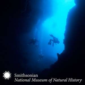 Ocean Lectures – Smithsonian Institution National Museum of Natural History