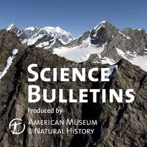 Earth Bulletin – American Museum of Natural History