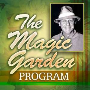 The Magic Garden