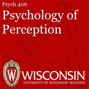 Psych 406: Psychology of Perception – Department of Psychology, UW–Madison