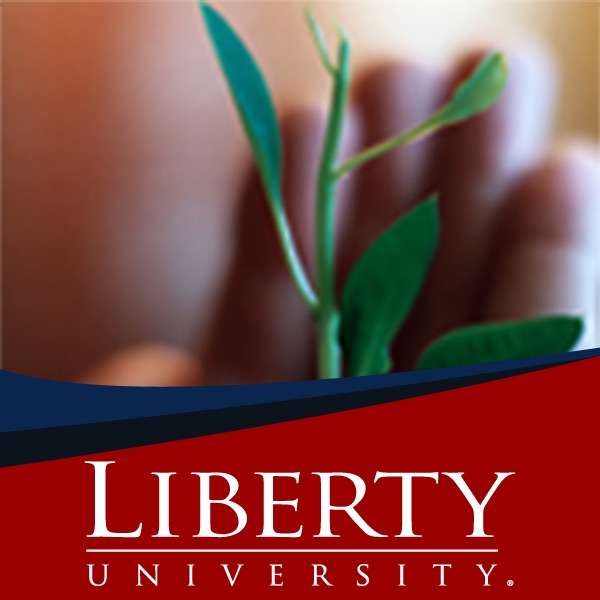 COUN510 – Theories of Counseling – Liberty University Online