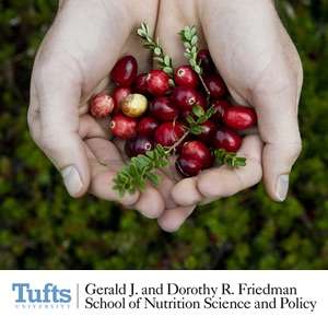 Friedman Seminar Series – Gerald J. and Dorothy R. Friedman School of Nutrition Science and Policy