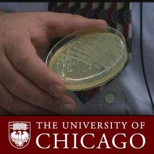 Infectious Diseases and Pandemics (video) – The University of Chicago