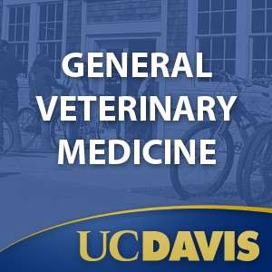 General Veterinary Medicine – UC Davis