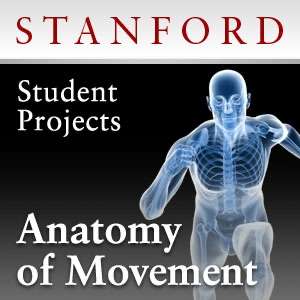 Anatomy of Movement – Student Projects – Stanford University