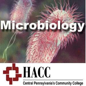 BIOL 221: Microbiology – dw – Dave Wartell