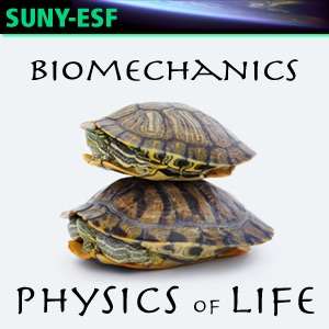 Biomechanics – Physics of Life – Dr. Scott Turner, Professor, Department of Environmental & Forest Biology, SUNY-ESF