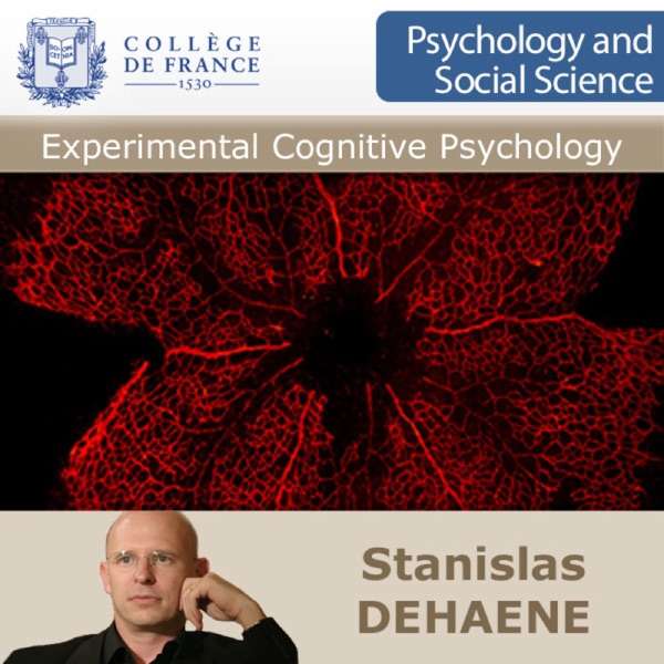 Experimental Cognitive Psychology