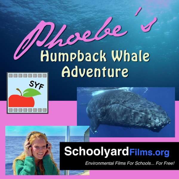 Phoebe’s Humpback Whale Adventure – Schoolyard Films
