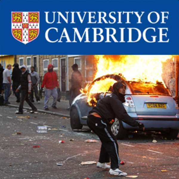 The English Riots in 2011: A Discussion from Different Criminological Perspectives