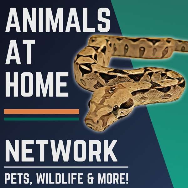 The Animals at Home Network