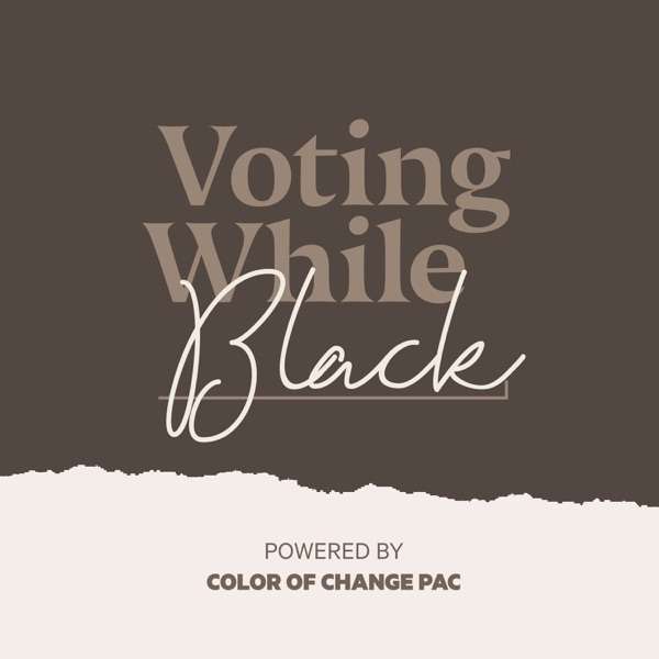VOTING WHILE BLACK
