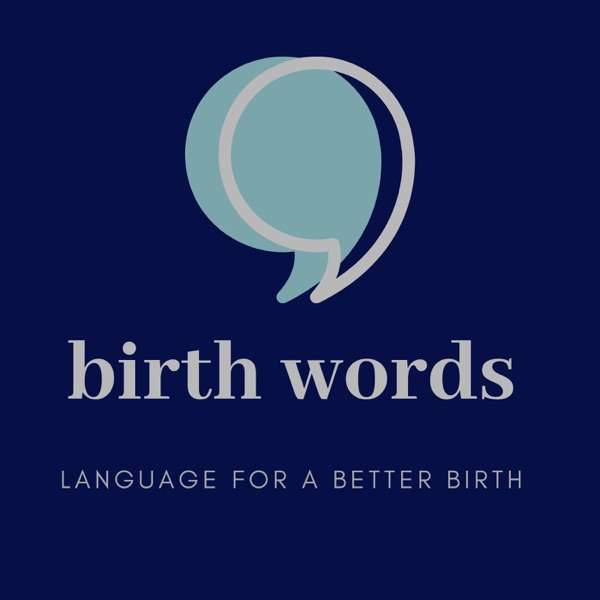 Birth Words: Language For a Better Birth