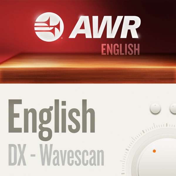 AWR Wavescan – DX Program (WRMI)