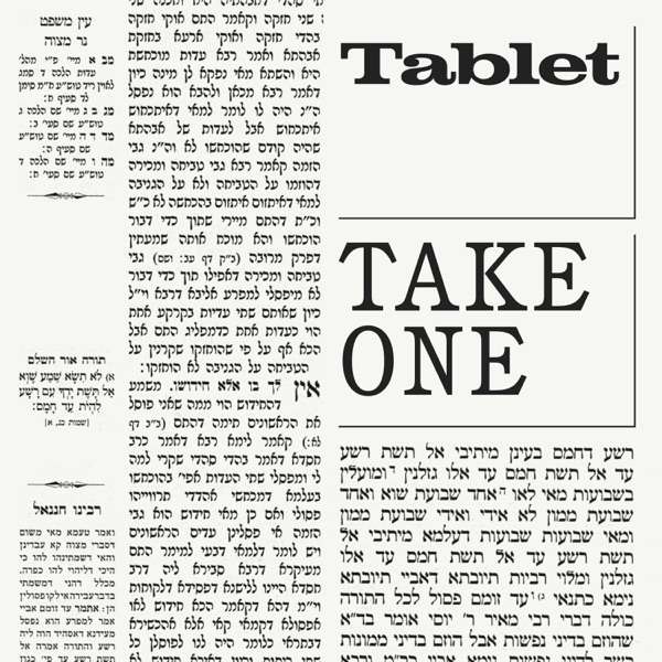 Blundering Into the Sukkah - Tablet Magazine