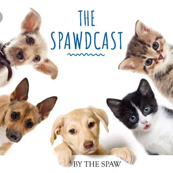 The Spawdcast