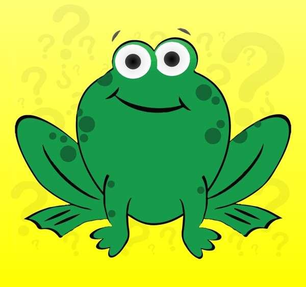 Frog Questions