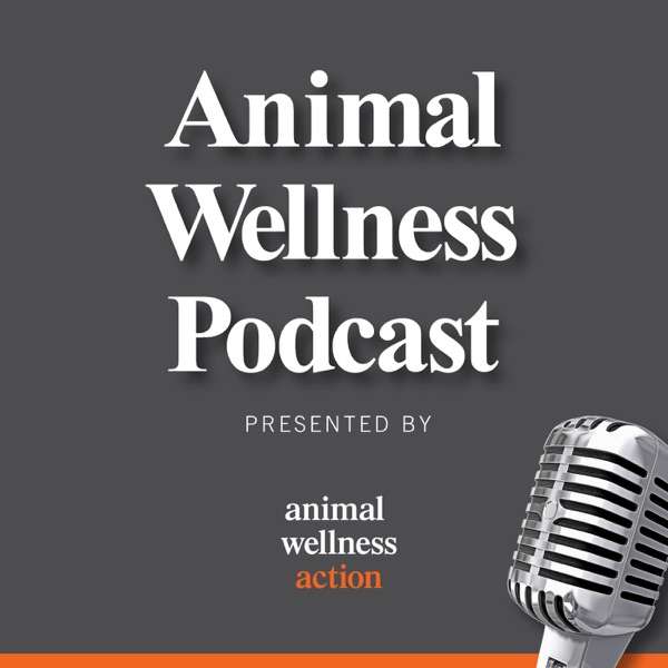 The thepoliticalanimal’s Podcast